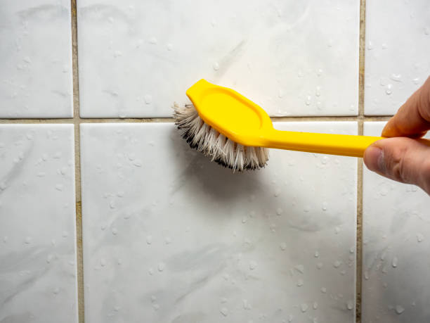 Best Health and Safety Mold Remediation in Ash Grove, MO